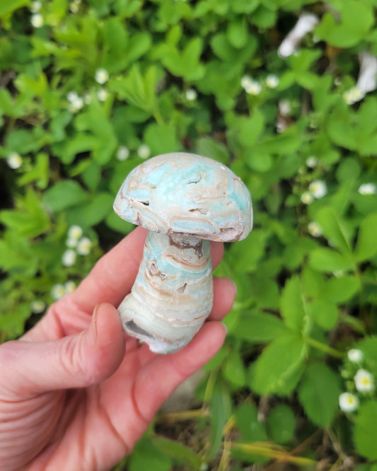 Mushroom from Pakistan - Blue Aragonite