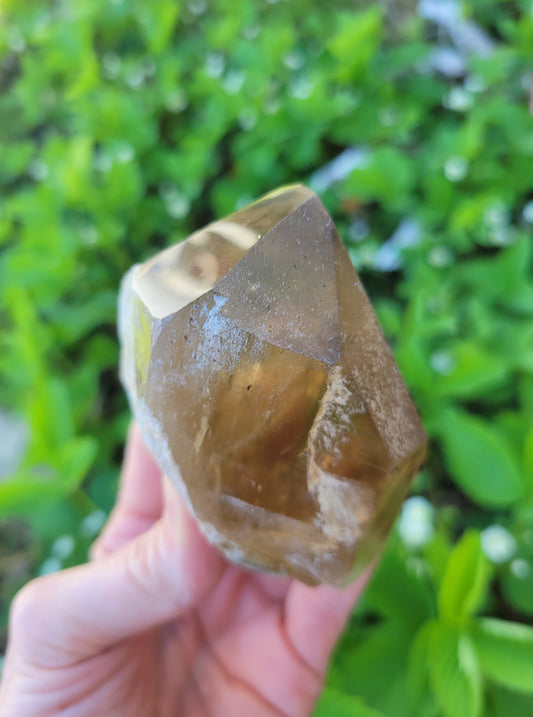 Citrine from Diamantina, Brazil