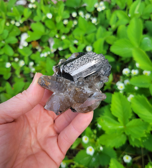 Tourmalinated Smokey Quartz and Black Tourmaline from Namibia