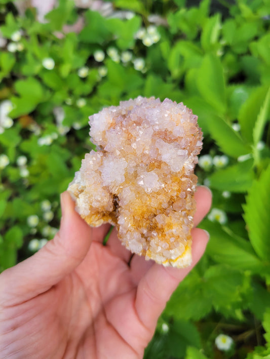 Spirit Cactus Quartz from Rep. South Africa