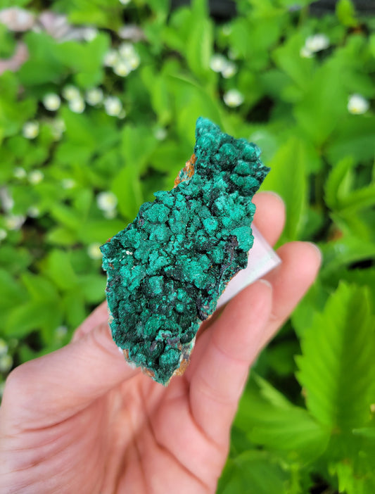 Malachite from Morocco