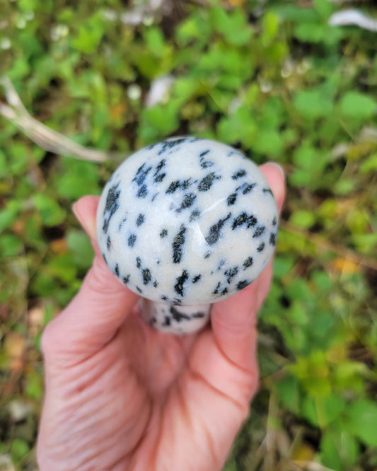 Hematite in Matrix Mushroom Carving from Pakistan