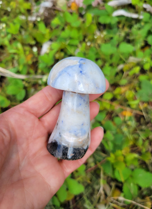 Sodalite Mushroom Carving from Pakistan