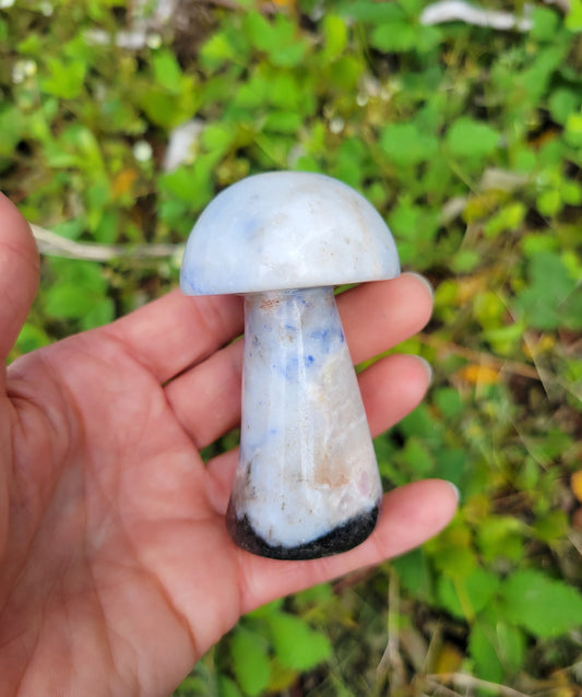 Sodalite Mushroom Carving from Pakistan