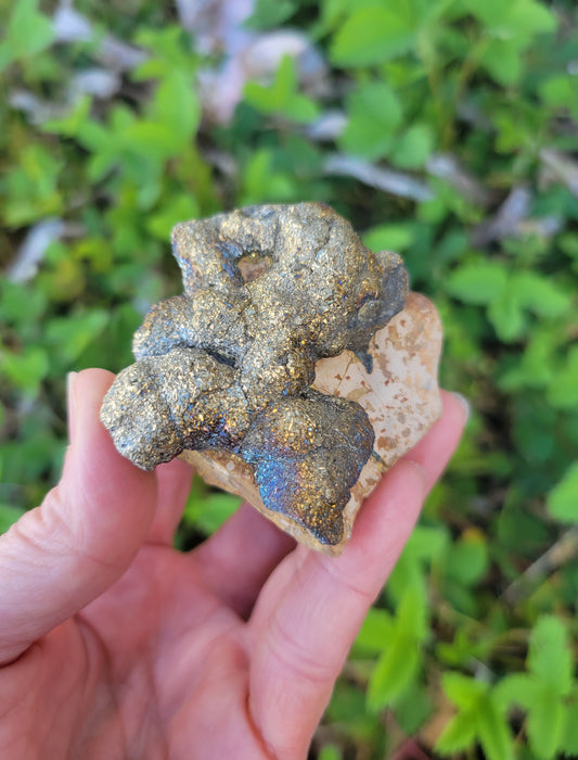 Pyrite with Rainbow Iridescence from Pakistan