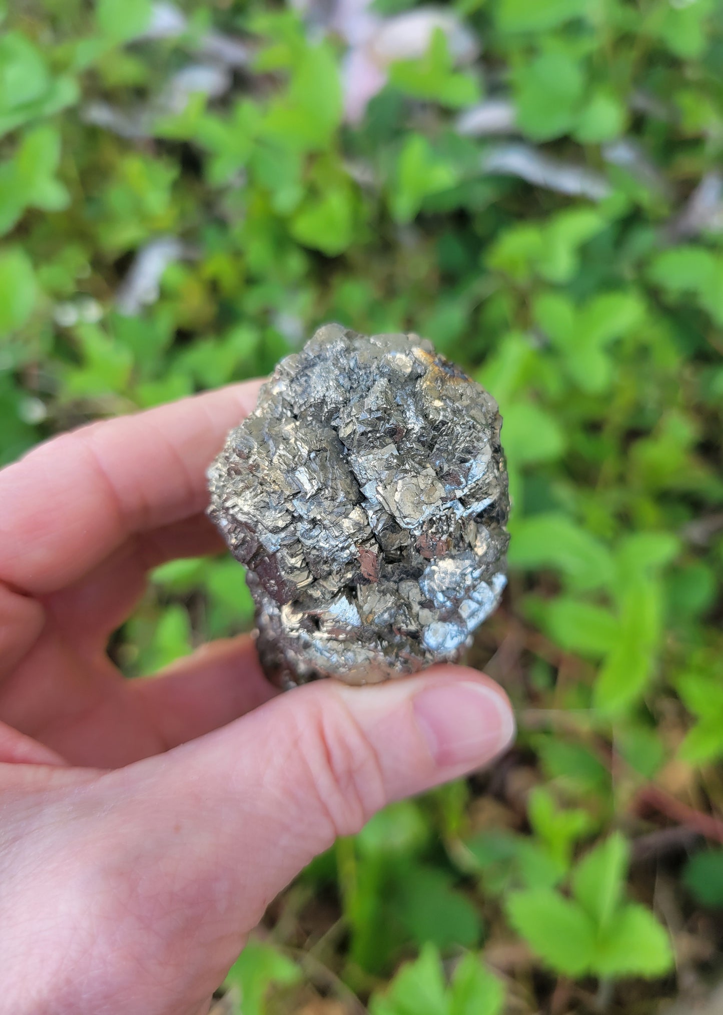 Pyrite from Pakistan