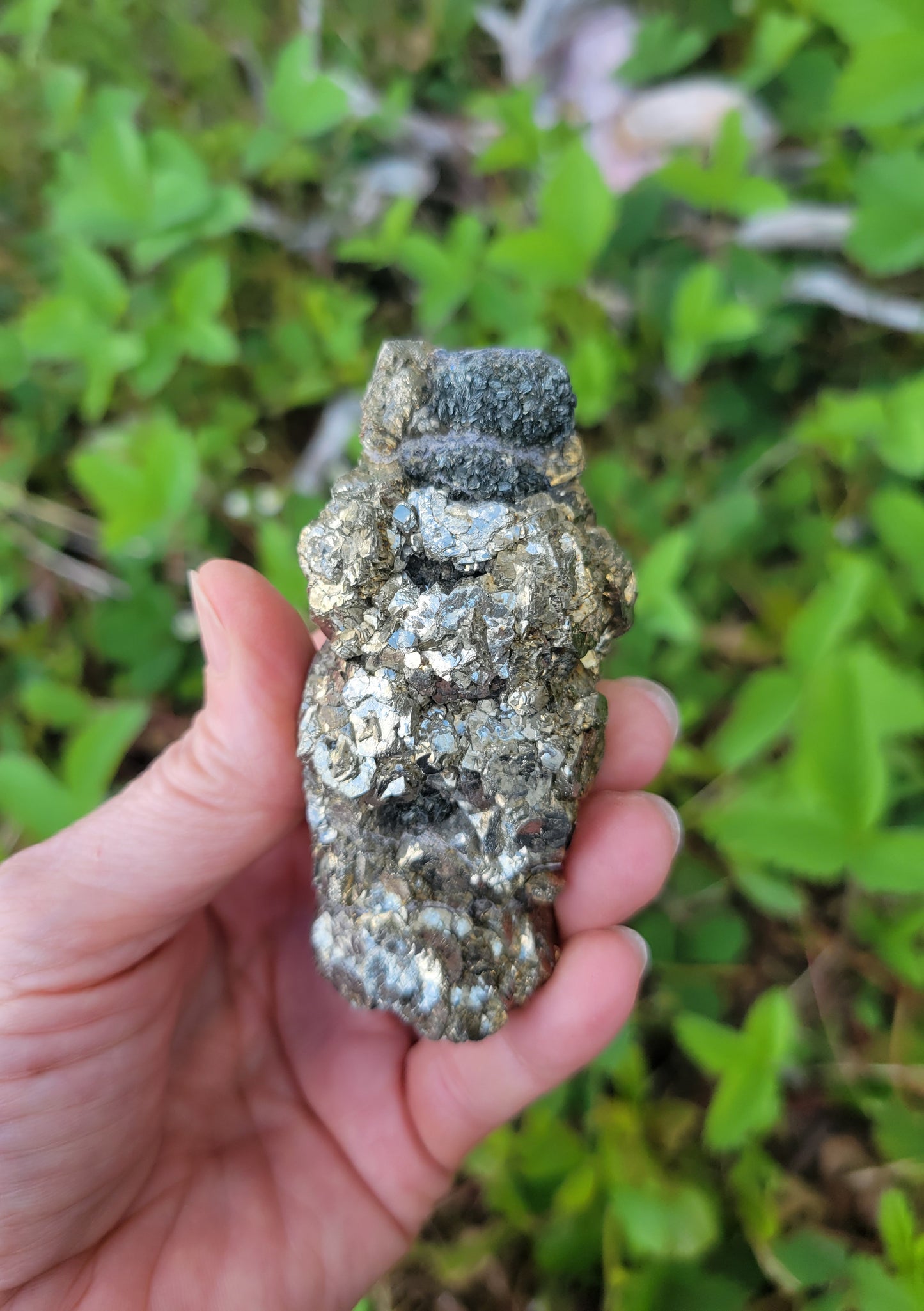 Pyrite from Pakistan