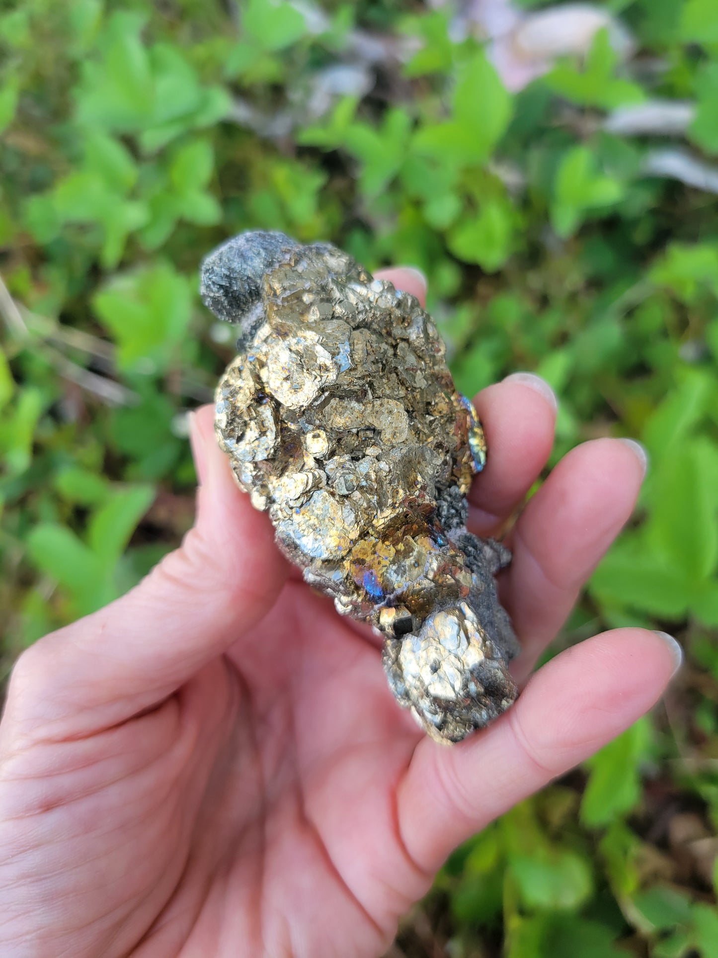 Pyrite from Pakistan