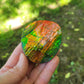 Ammolite, Ammonite Gemstone Fossil from Rocky Mountains of Canada