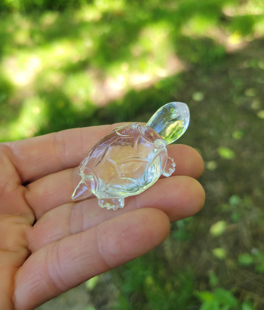 Himalayan Quartz Turtle from India