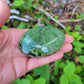 Tremolite Palm Stone from Pakistan