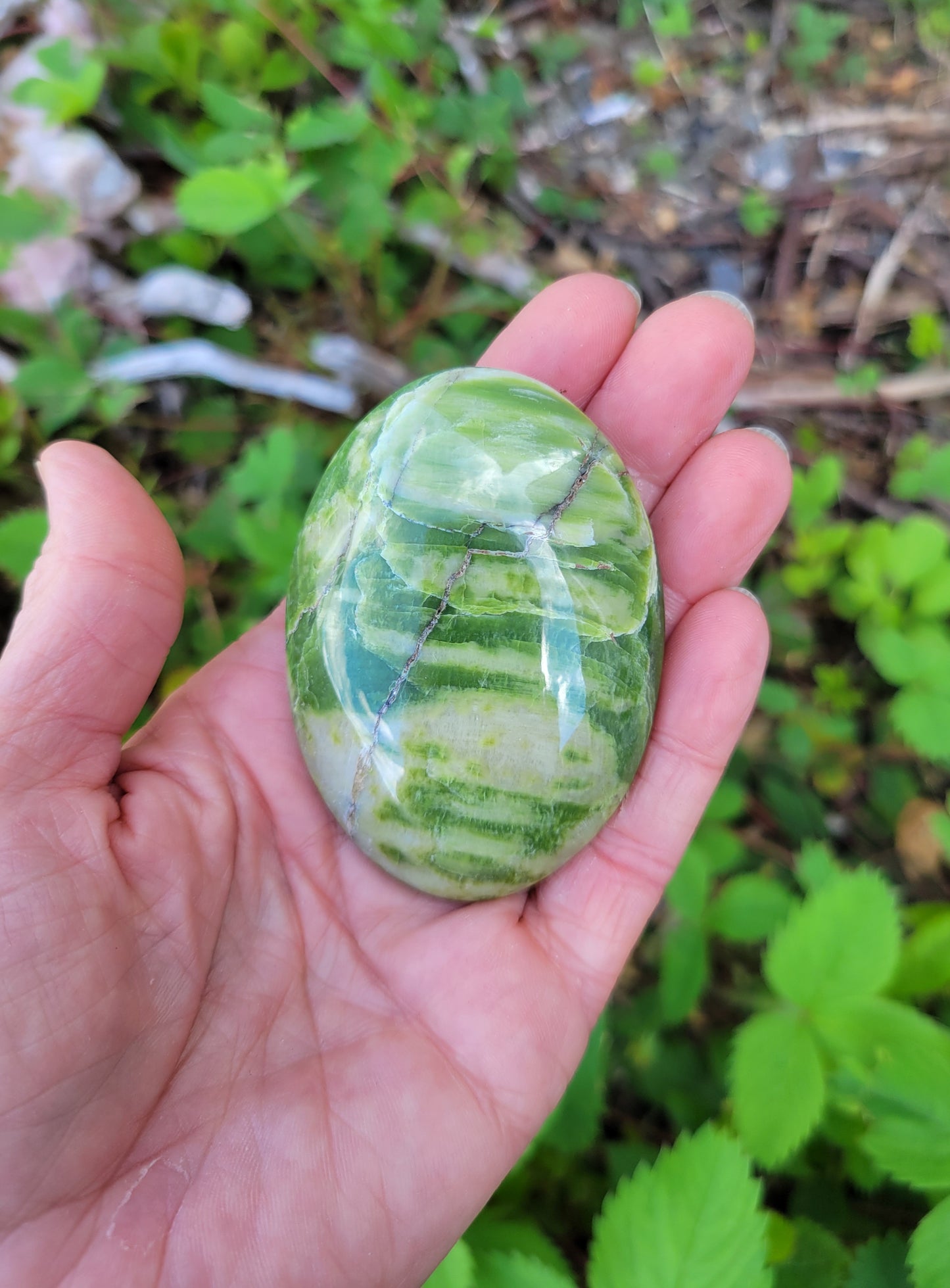 Tremolite Palm Stone from Pakistan