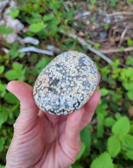 Ocean Jasper Palm Stone from Madagascar