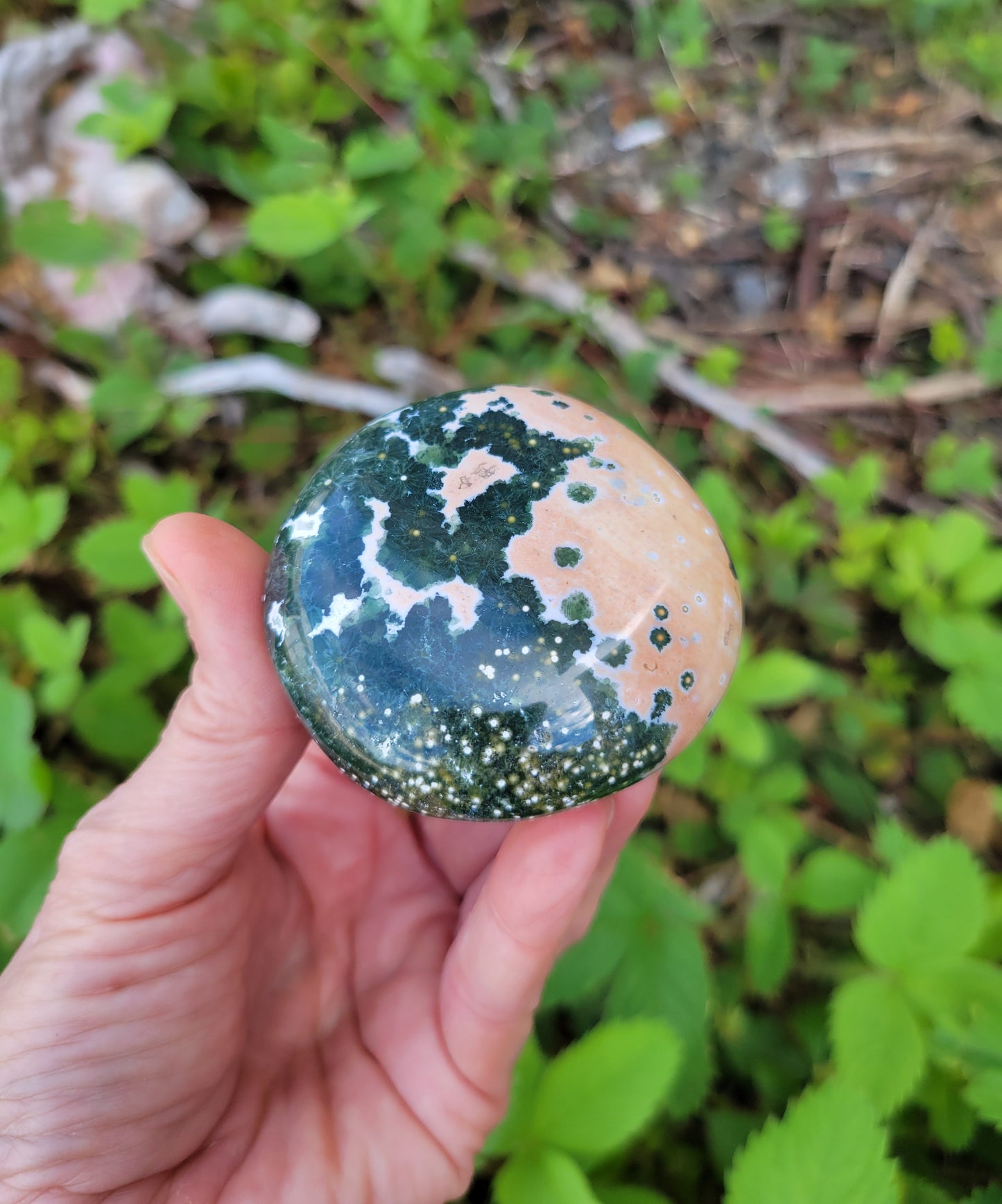 Ocean Jasper Palm Stone from Madagascar