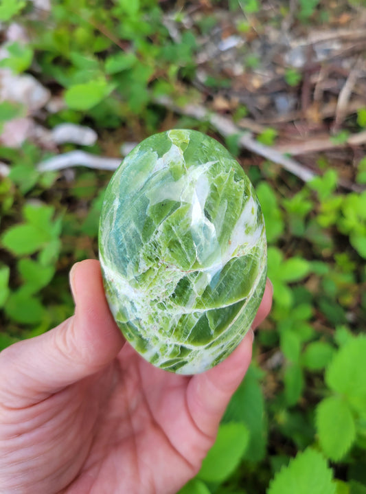 Tremolite Palm Stone from Pakistan