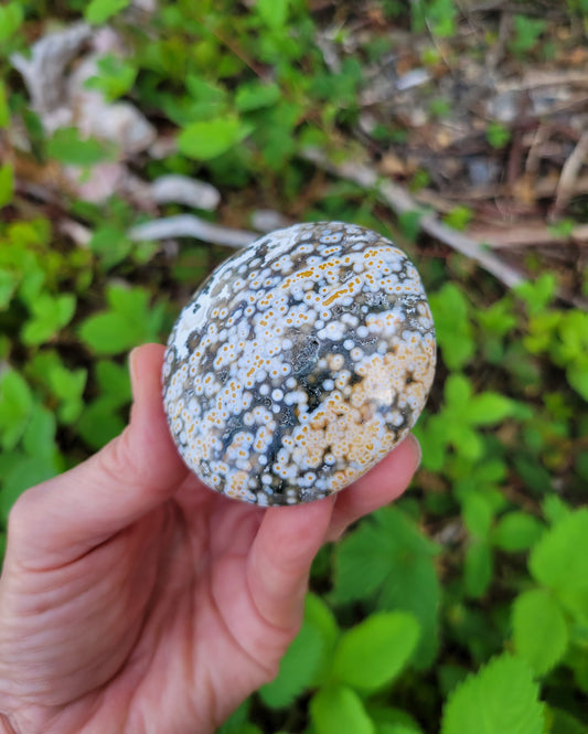 Ocean Jasper Palm Stone from Madagascar