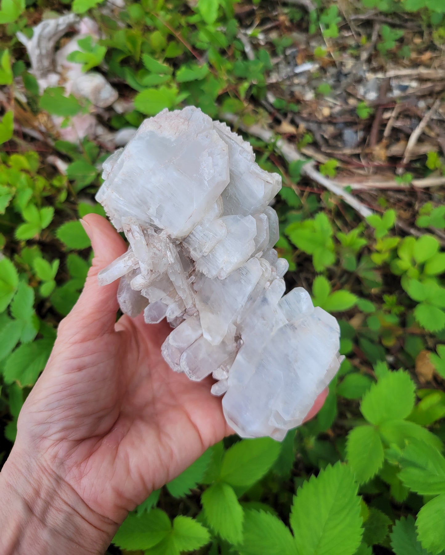 Pink Faden Quartz Cluster from Colombia