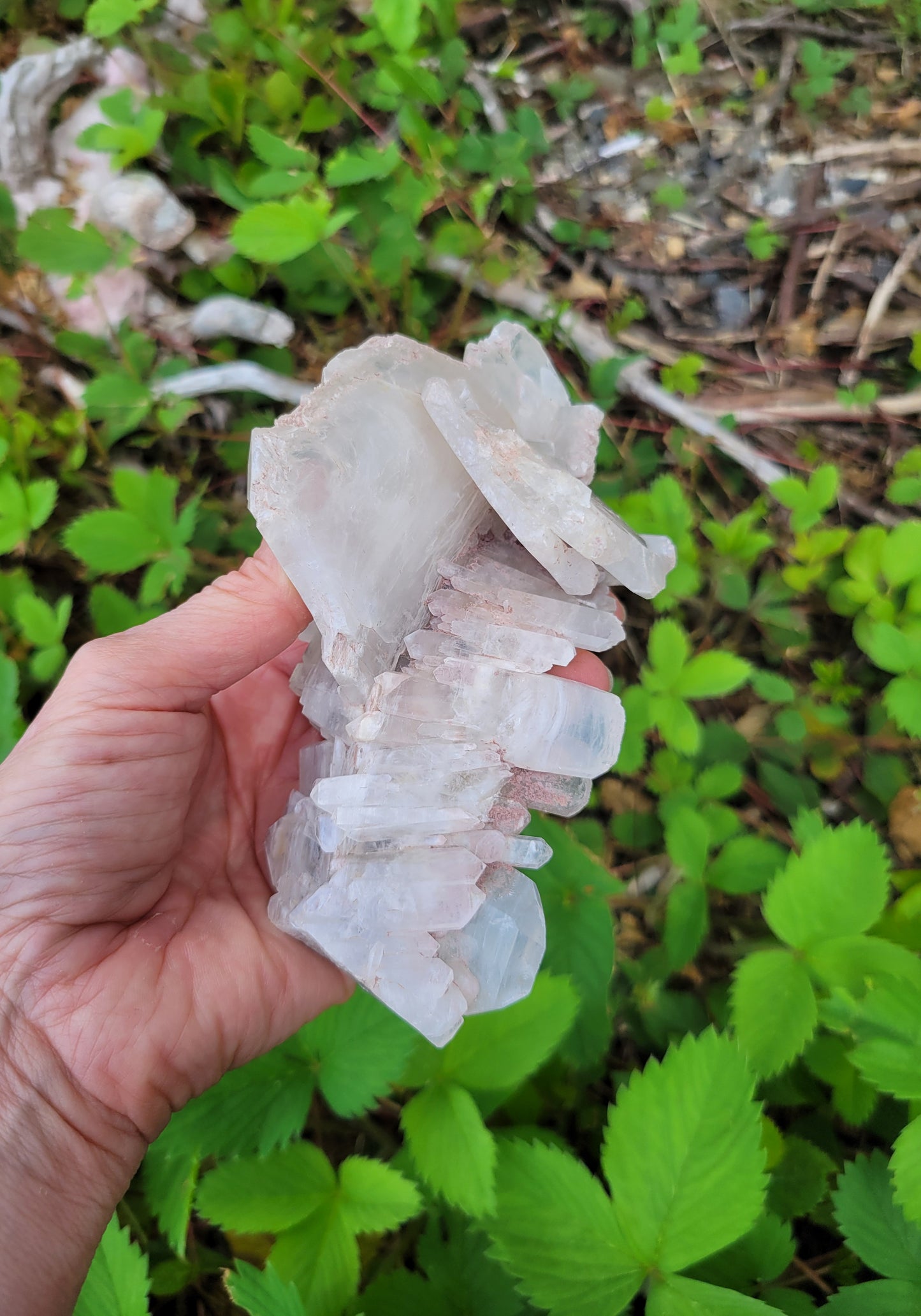 Pink Faden Quartz Cluster from Colombia