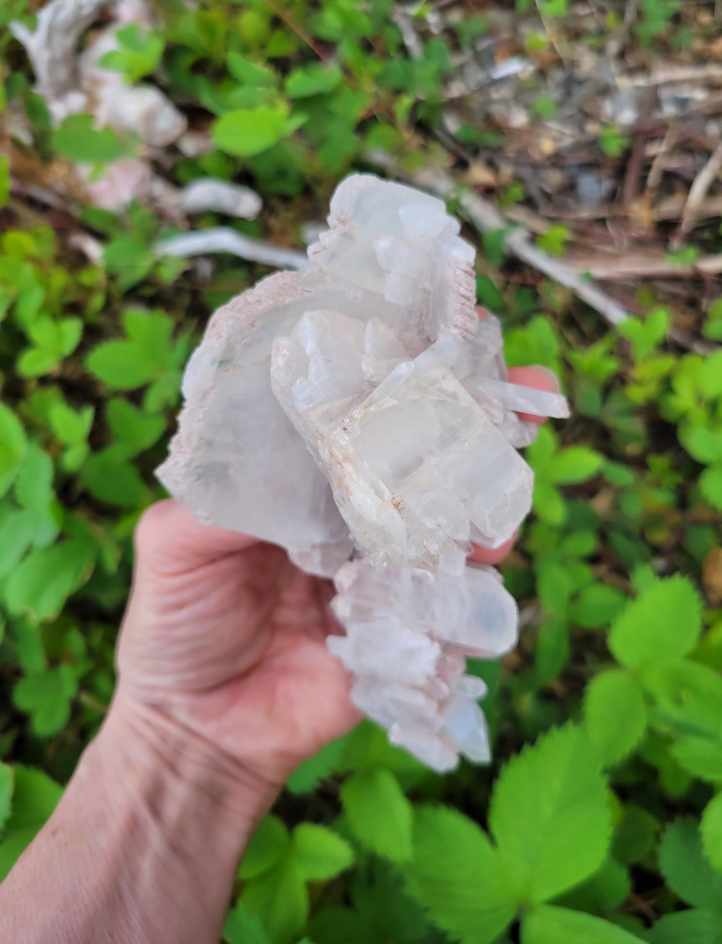 Pink Faden Quartz Cluster from Colombia