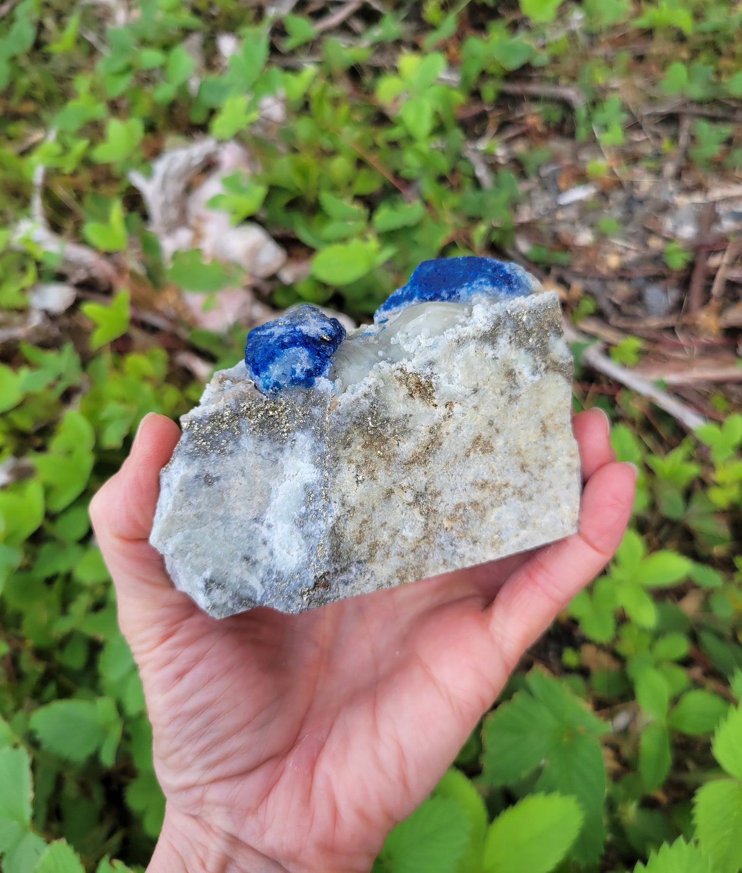 Afghanite, Lazulite, and Pyrite from Pakistan