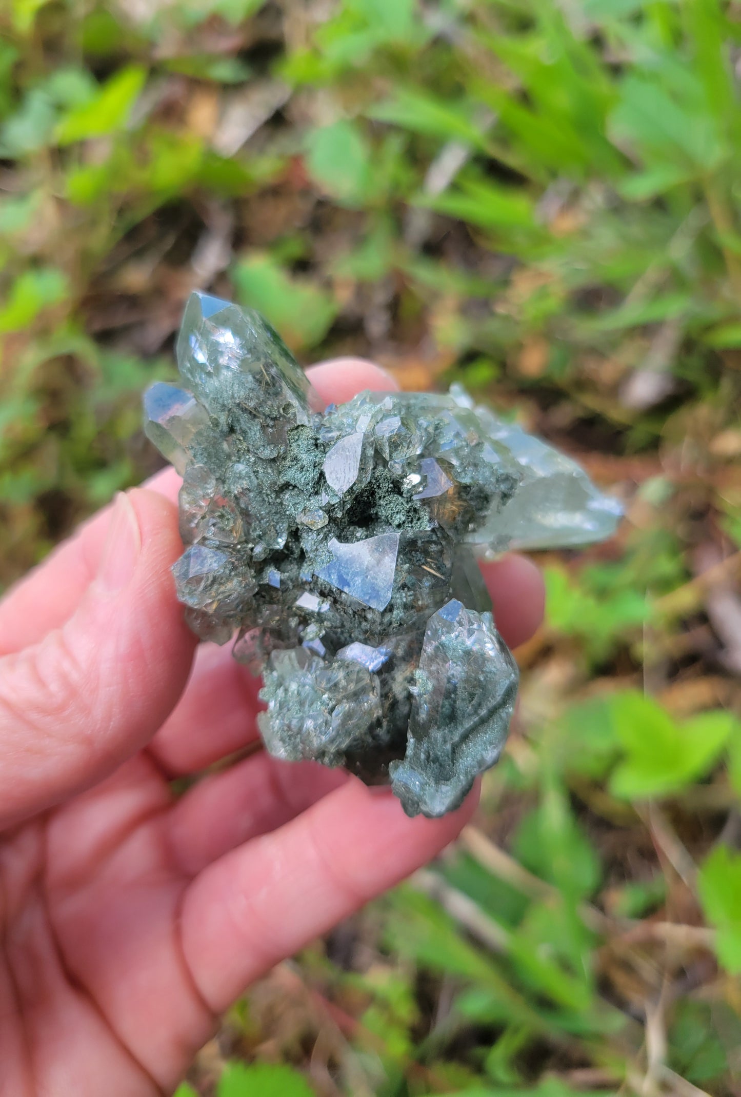 Himalayan Quartz Cluster with Rutile and Clinochlore from Himachal Pradesh, India