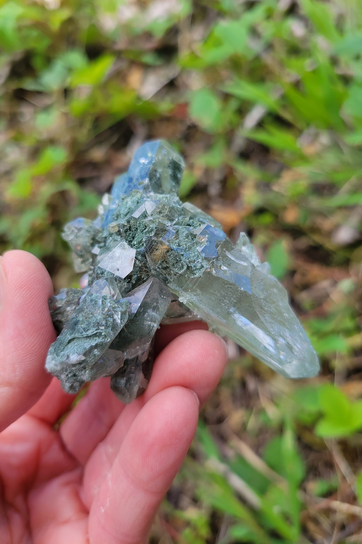 Himalayan Quartz Cluster with Rutile and Clinochlore from Himachal Pradesh, India