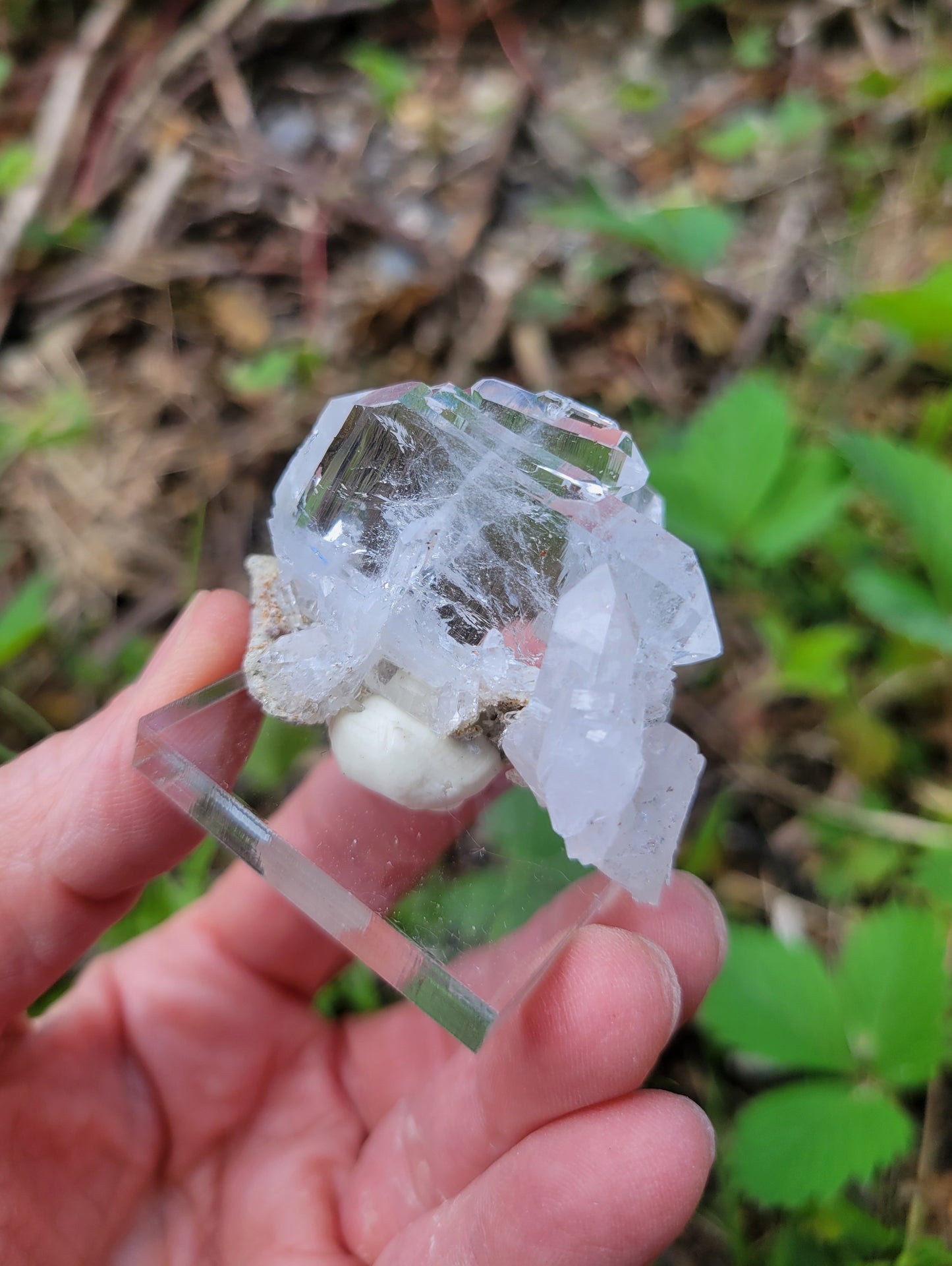 Faden Quartz from Pakistan