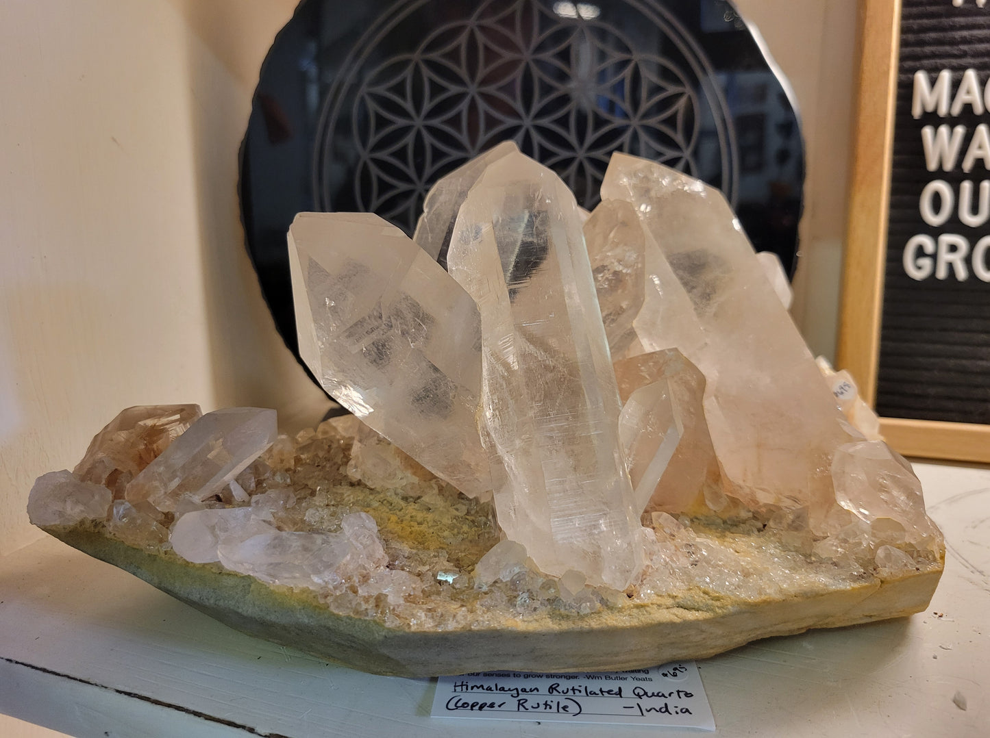 Himalayan Rutilated Samadhi Quartz Cluster from India