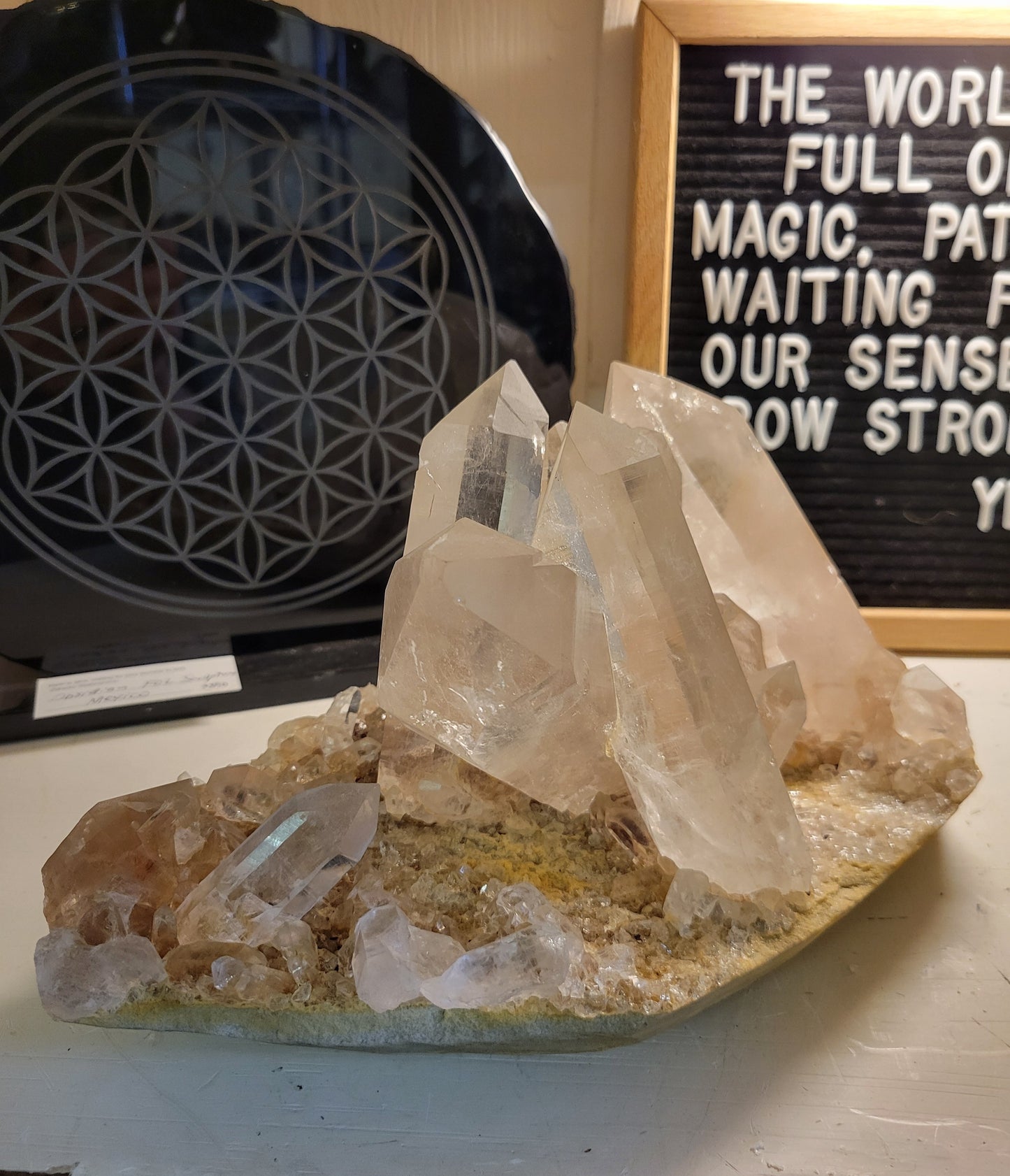 Himalayan Rutilated Samadhi Quartz Cluster from India