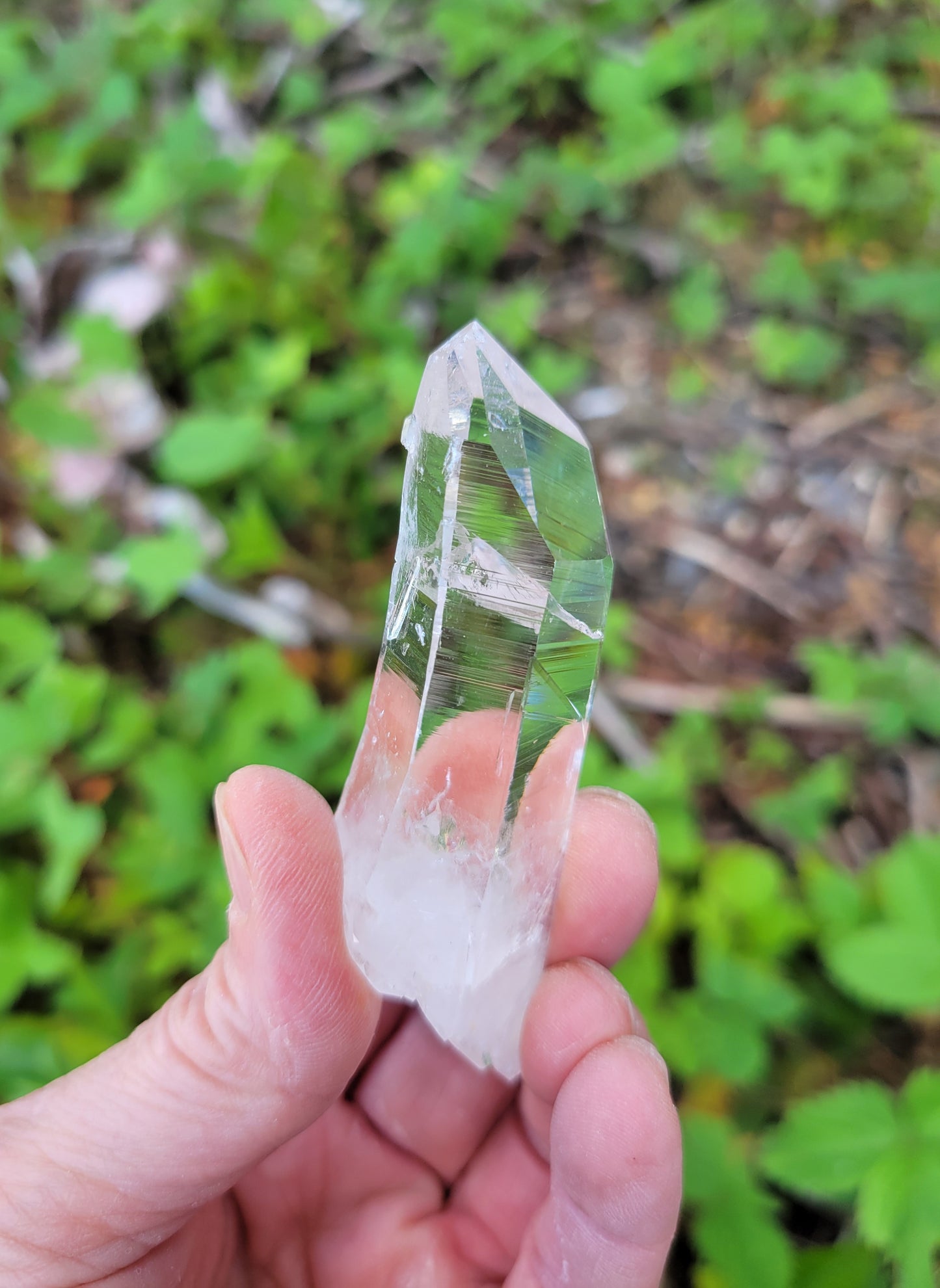 Optical Quartz from Colombia, Curved and Self-healed