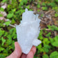 Scolecite from India