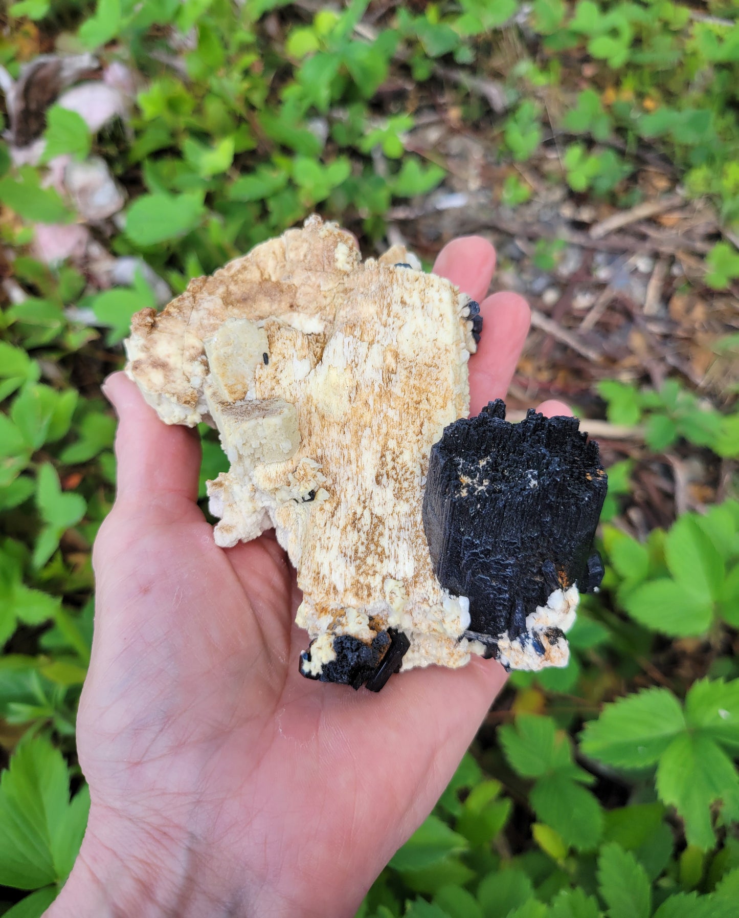 Black Tourmaline on Feldspar from Erongo, Namibia