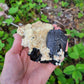 Black Tourmaline on Feldspar from Erongo, Namibia