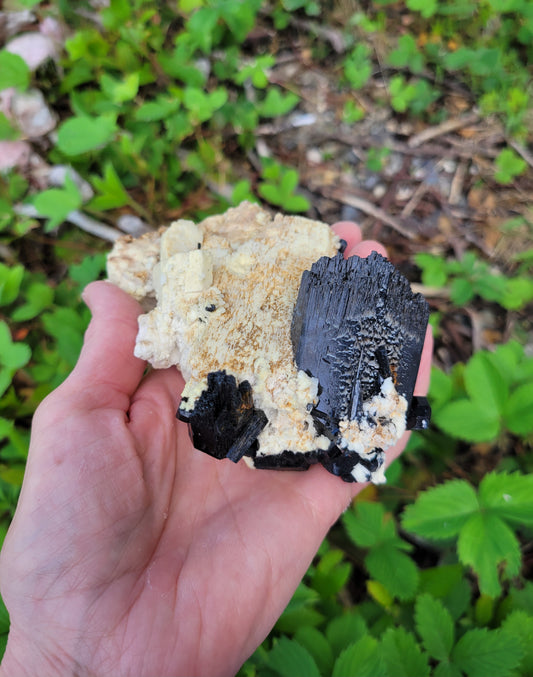 Black Tourmaline on Feldspar from Erongo, Namibia