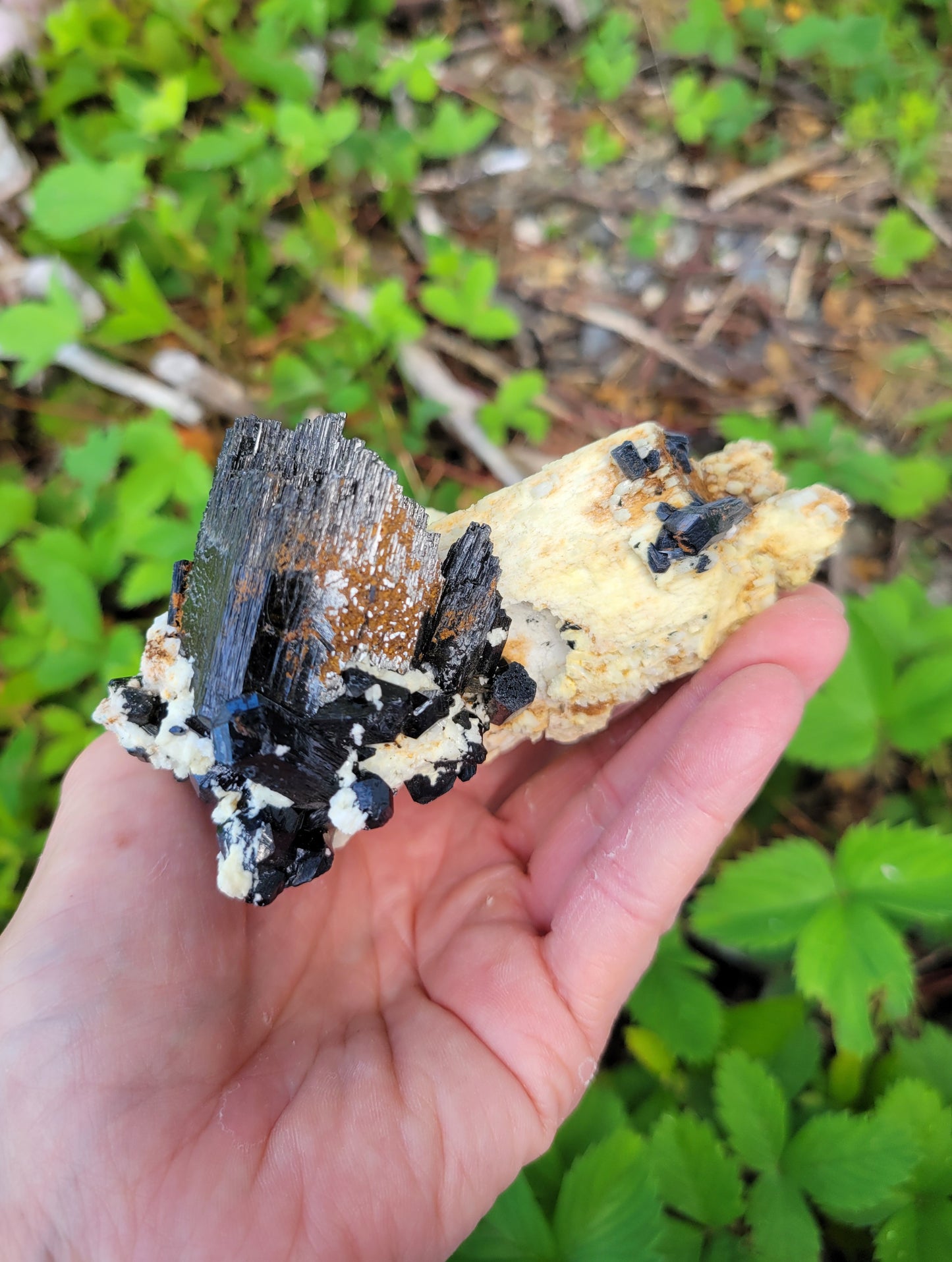 Black Tourmaline on Feldspar from Erongo, Namibia