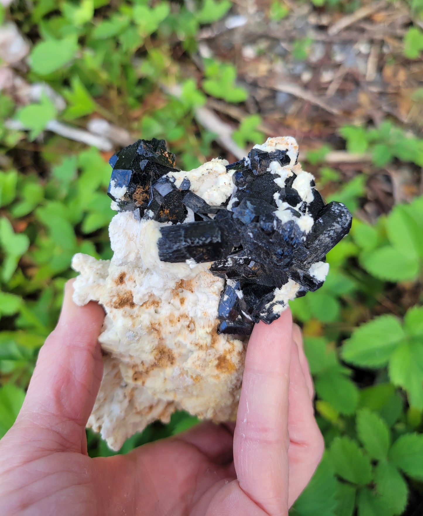 Black Tourmaline on Feldspar from Erongo, Namibia