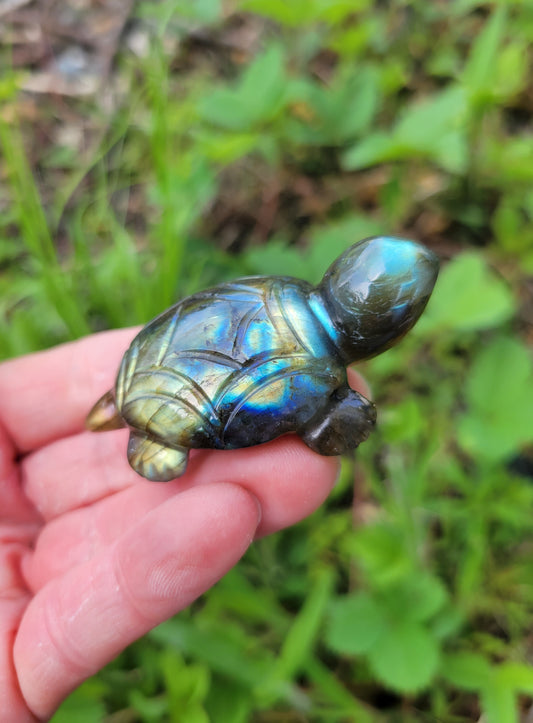 Labradorite Turtle Carving from India