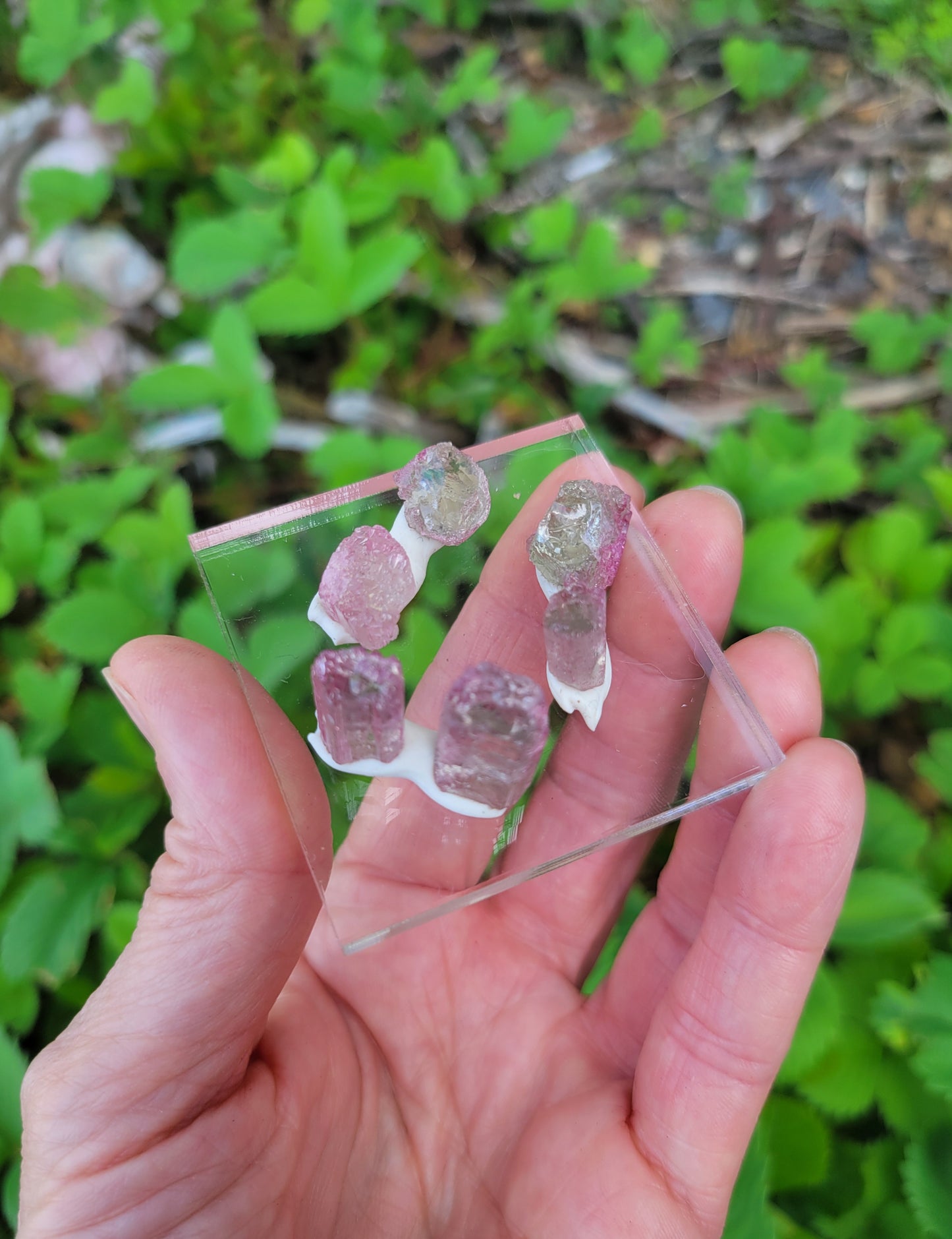 Watermelon Tourmaline from Morro Redondo, Brazil