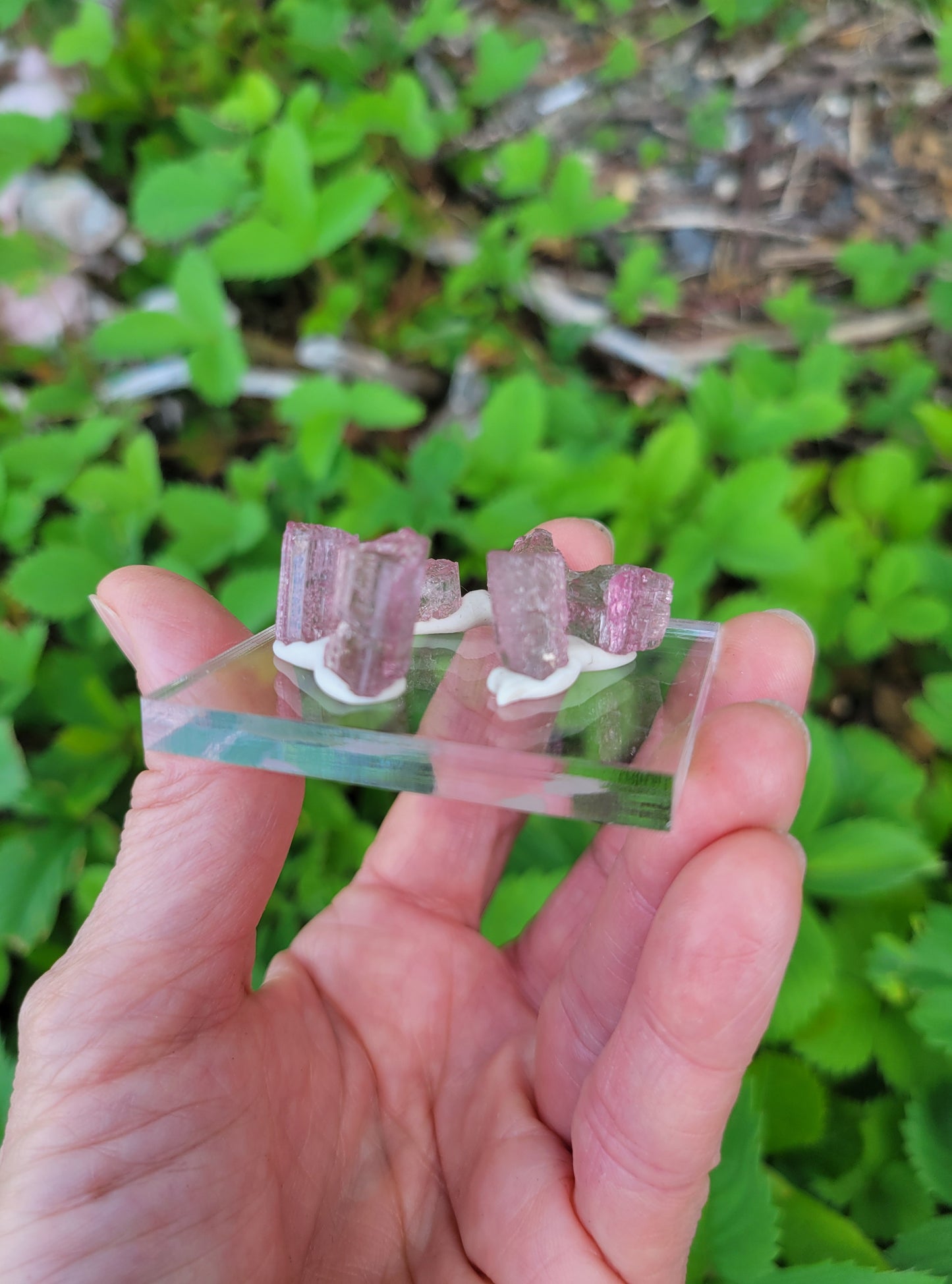 Watermelon Tourmaline from Morro Redondo, Brazil