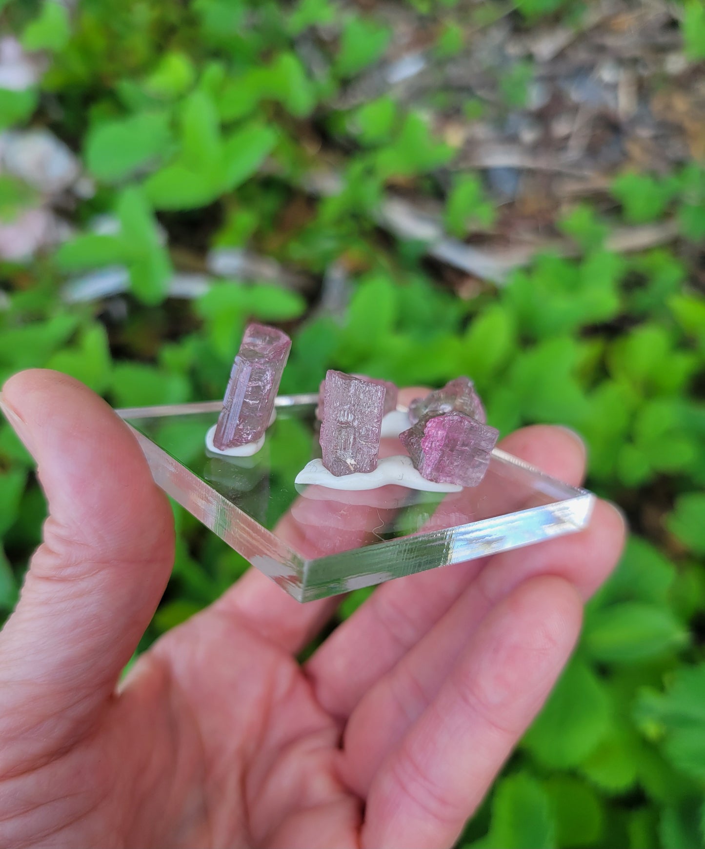 Watermelon Tourmaline from Morro Redondo, Brazil