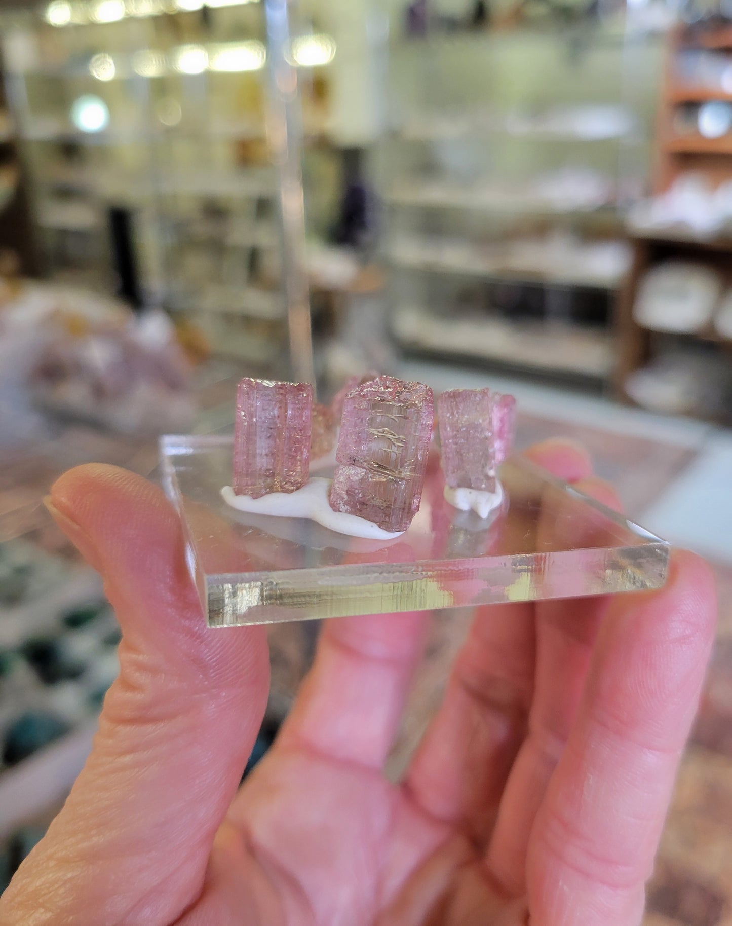 Watermelon Tourmaline from Morro Redondo, Brazil