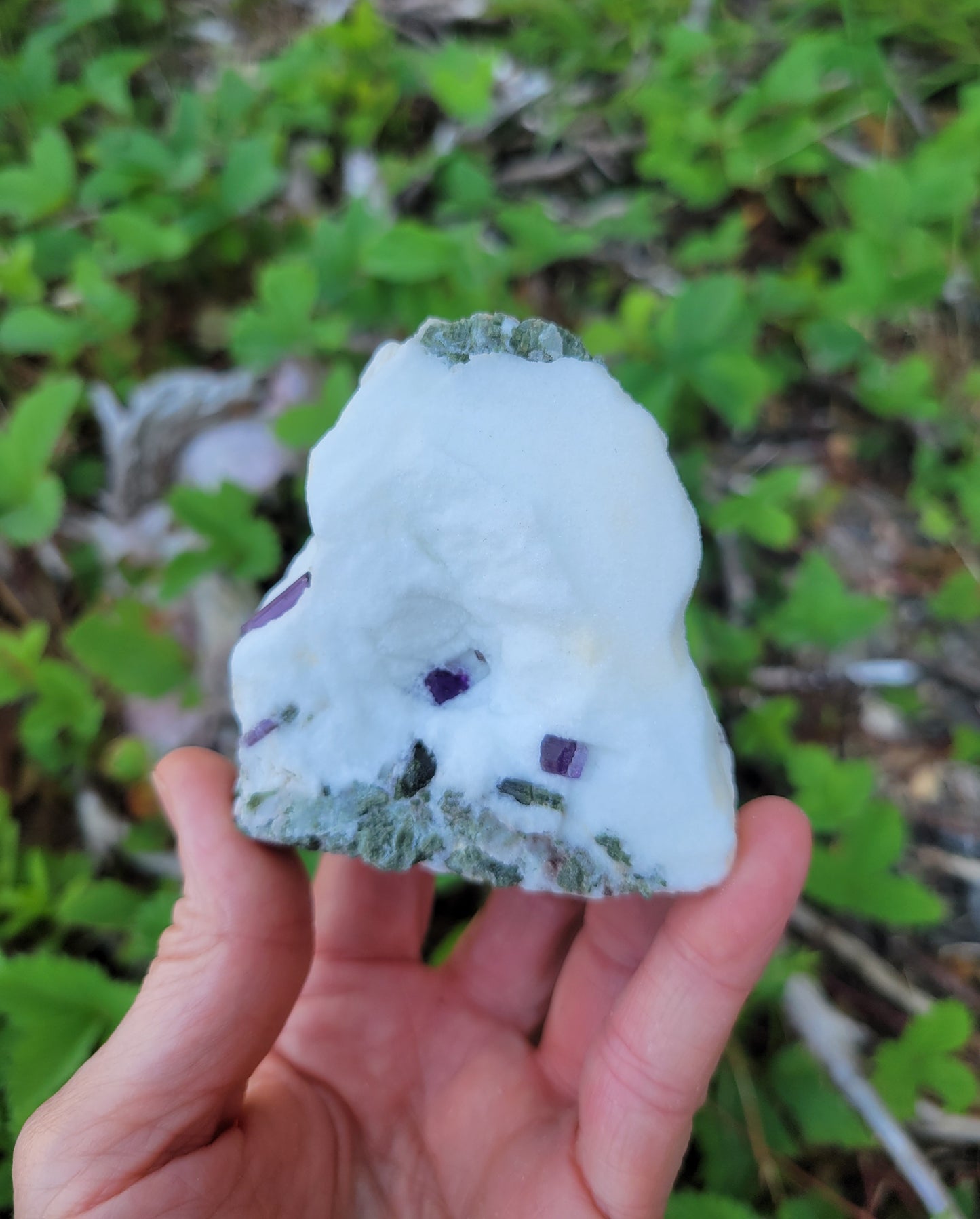 Scapolite and Epidote from Pakistan