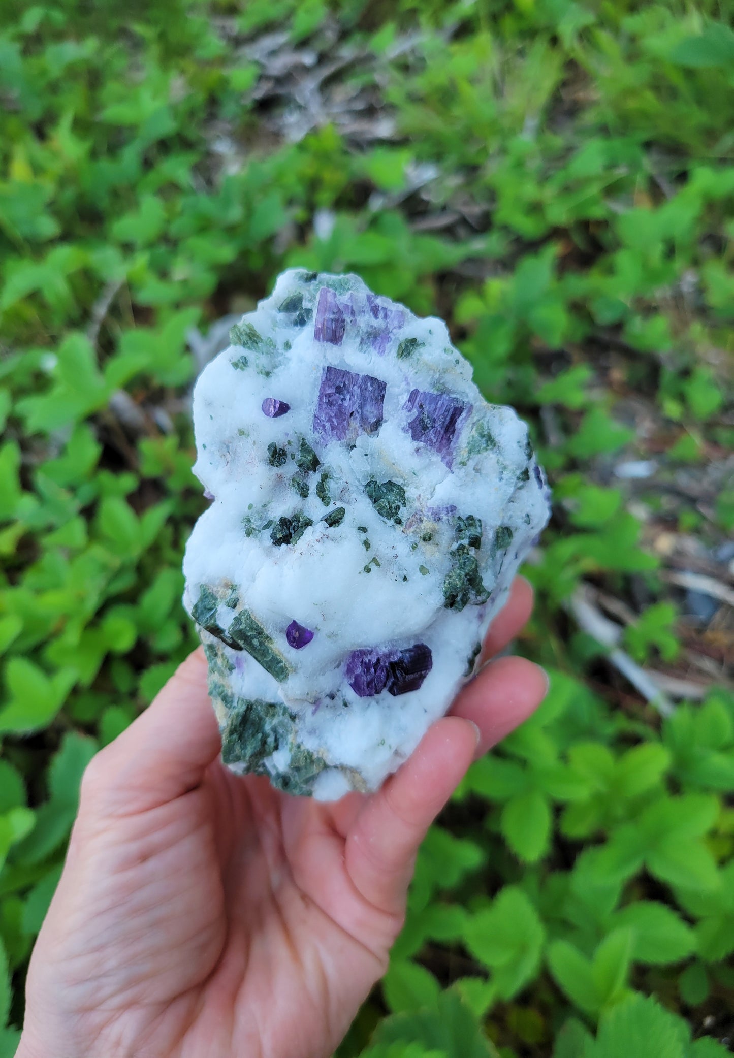 Scapolite and Epidote from Pakistan