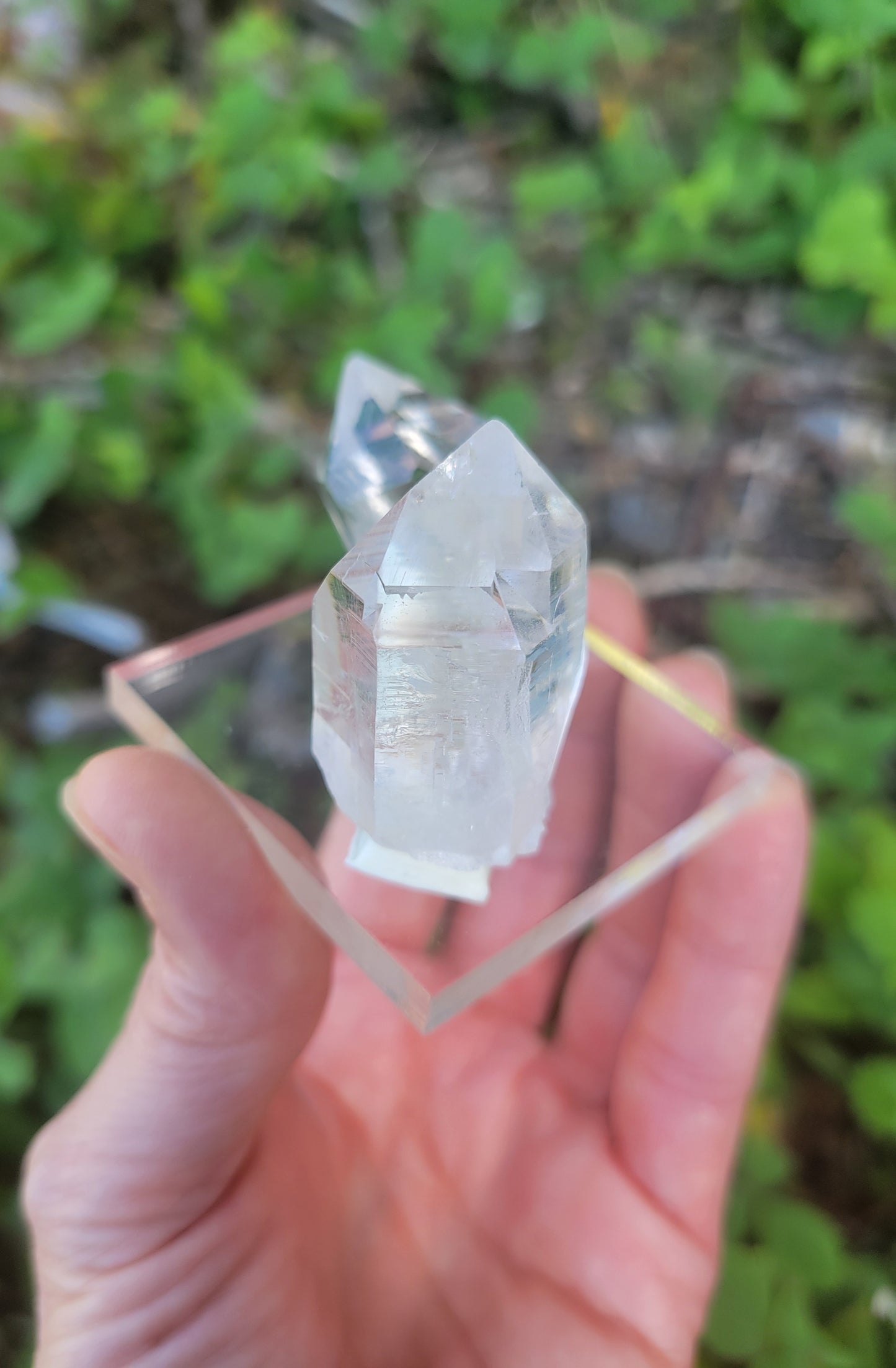 Himalayan Cathedral Quartz Set from Himachal Pradesh, India