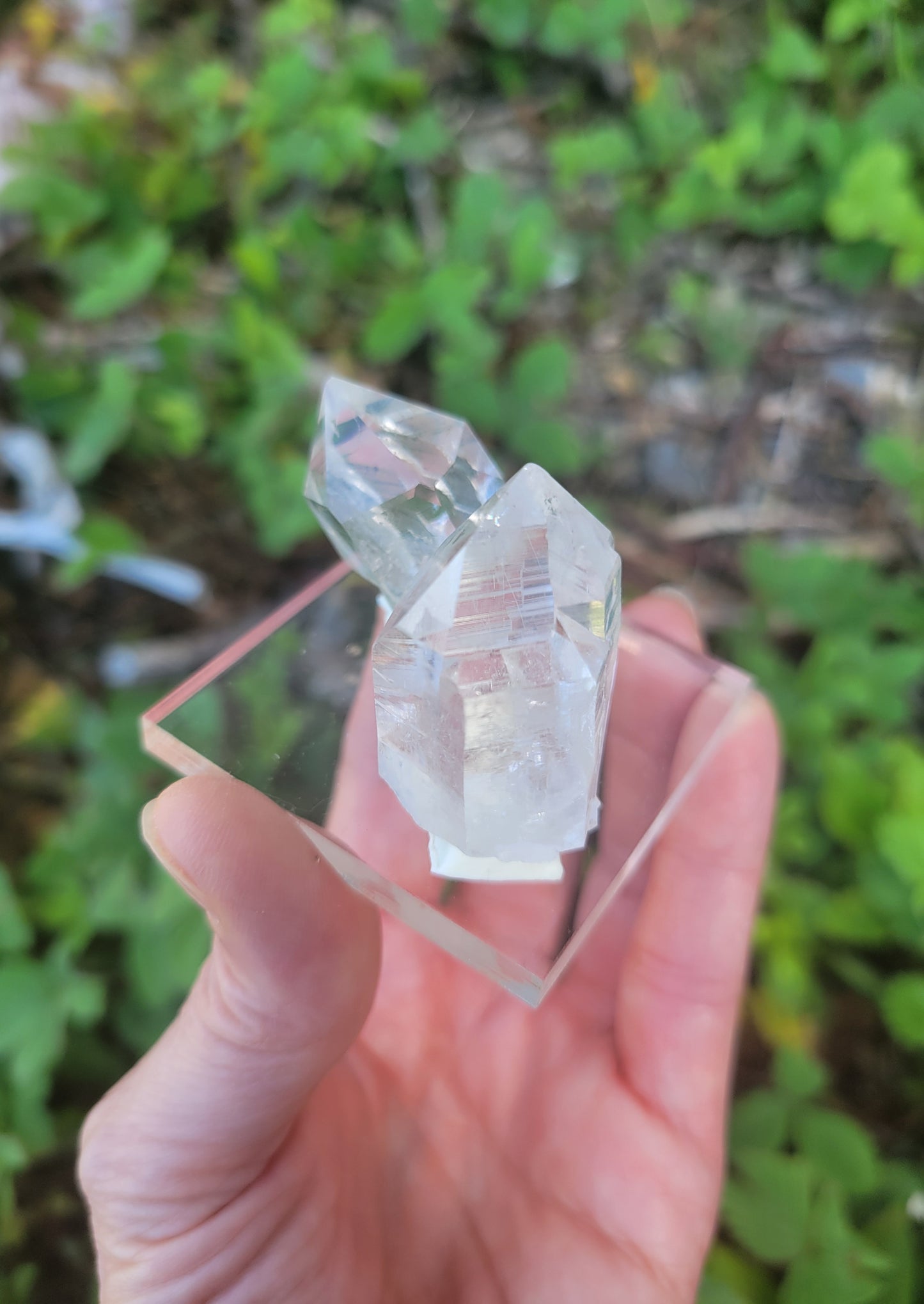 Himalayan Cathedral Quartz Set from Himachal Pradesh, India