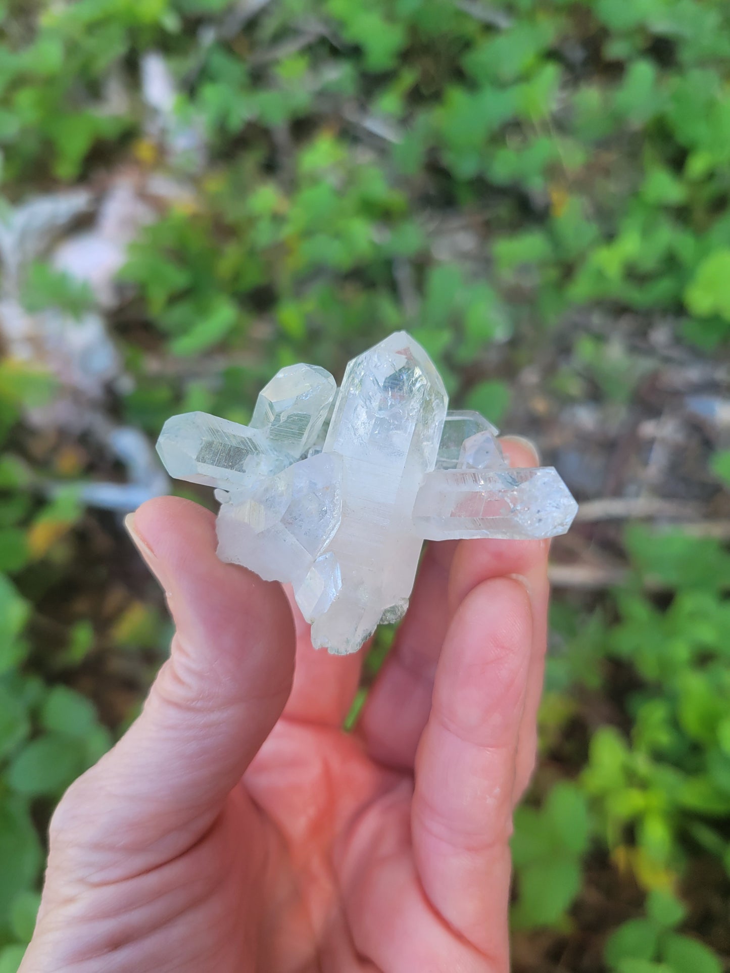 Himalayan Quartz Cluster with Clinochlore from Himachal Pradesh, India