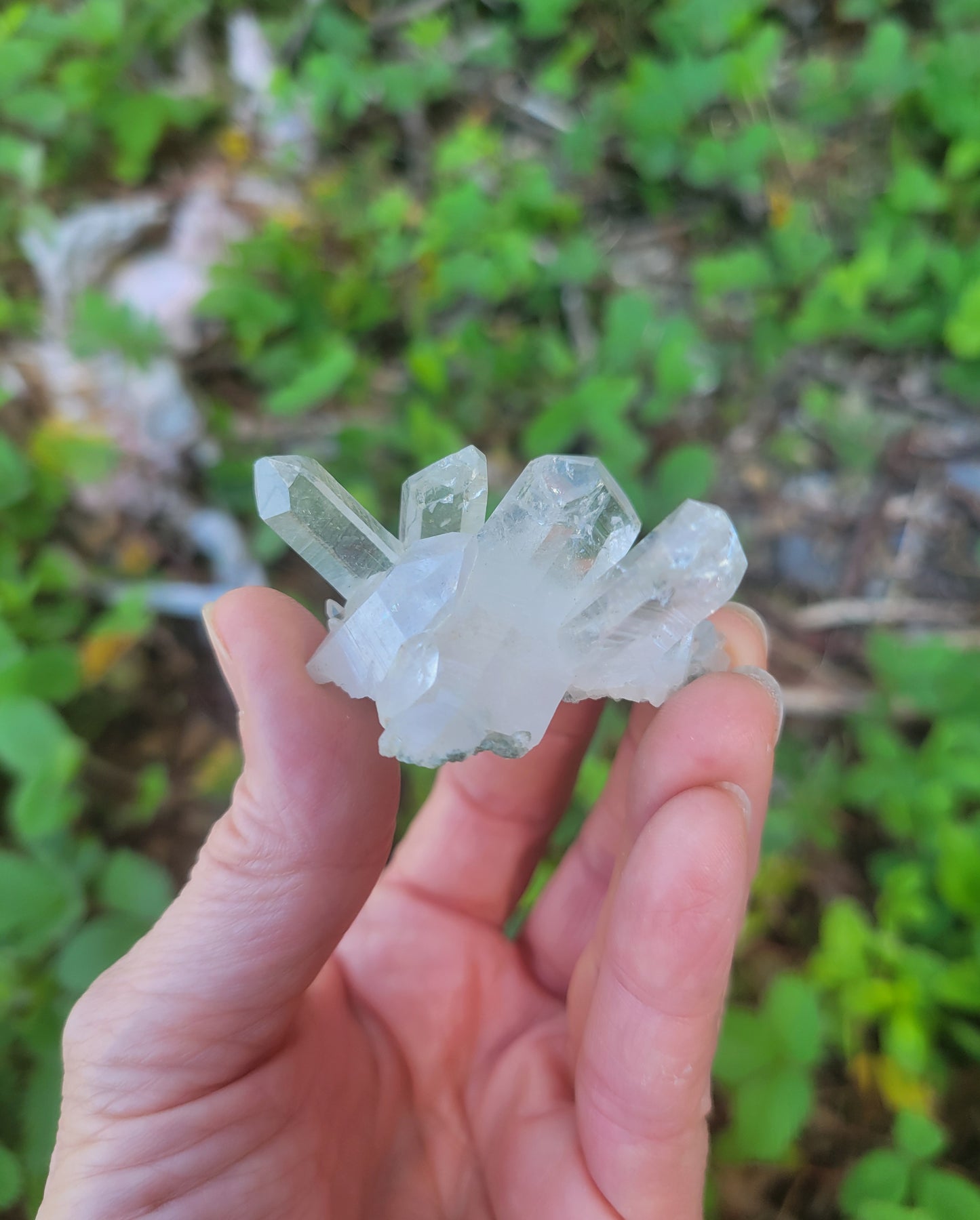 Himalayan Quartz Cluster with Clinochlore from Himachal Pradesh, India