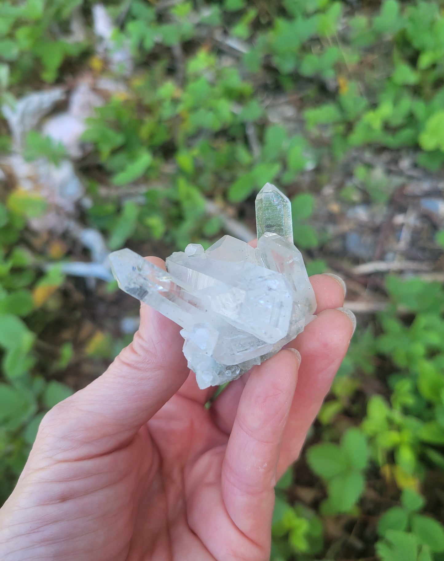 Himalayan Quartz Cluster with Clinochlore from Himachal Pradesh, India