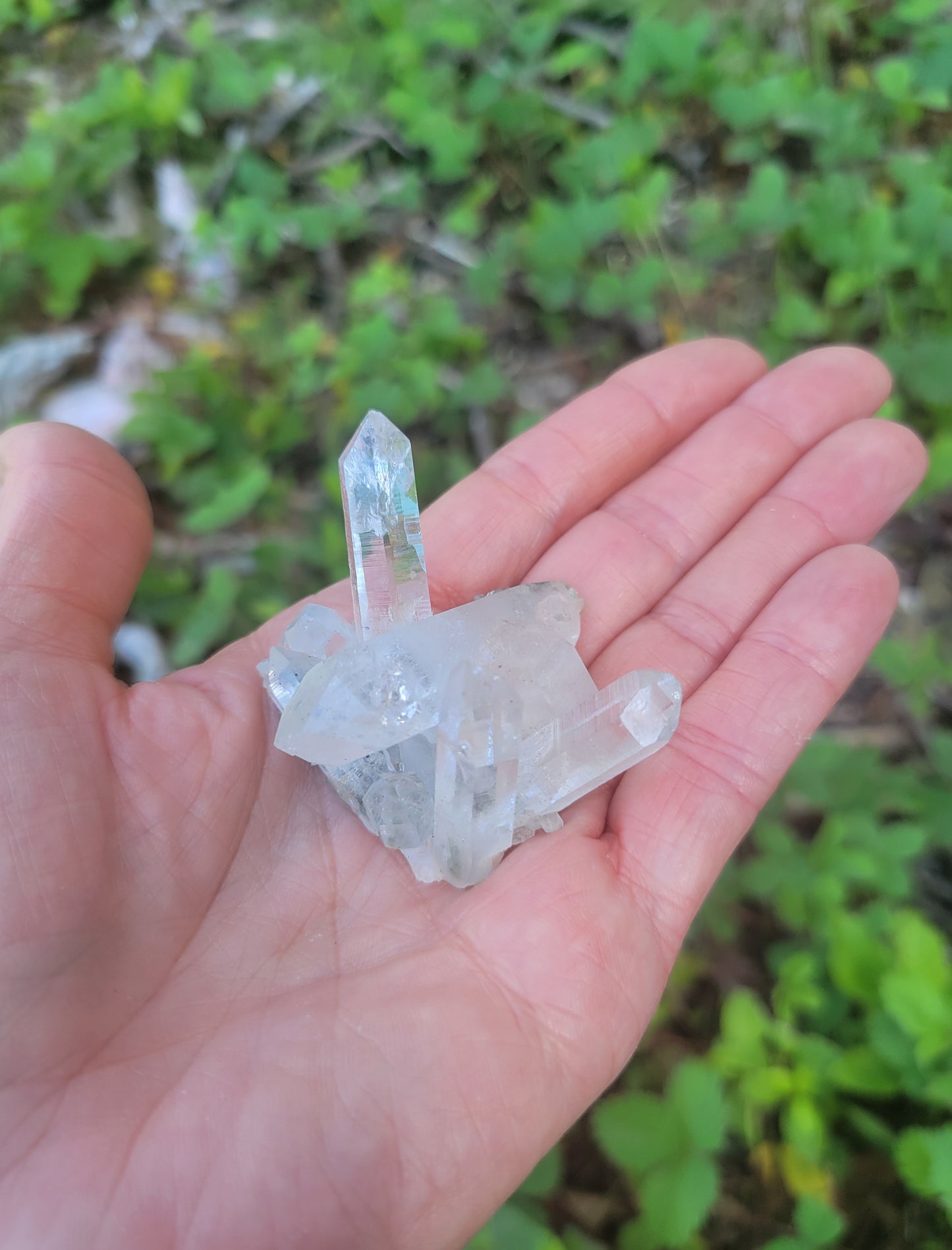 Himalayan Quartz Cluster with Clinochlore from Himachal Pradesh, India