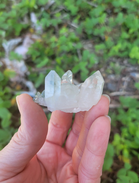 Himalayan Quartz Cluster with Clinochlore from Himachal Pradesh, India